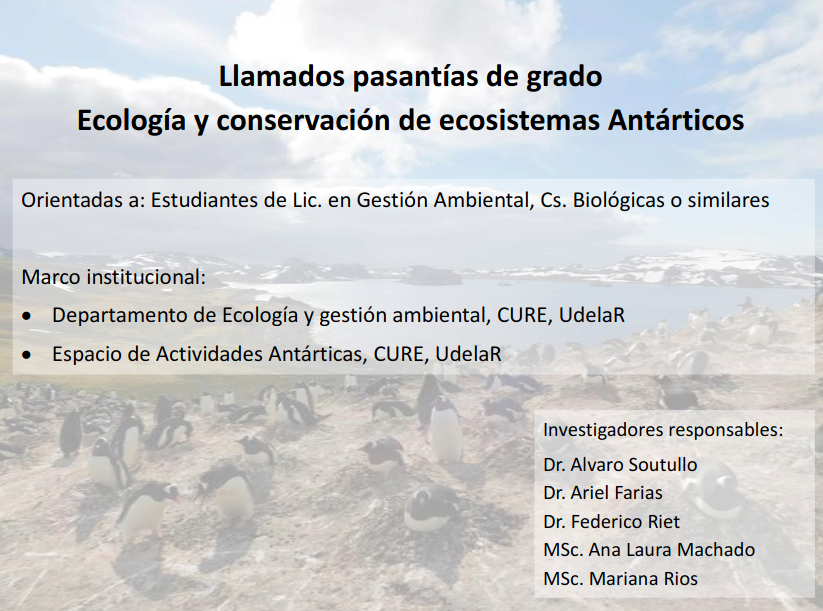 pasantía ecosistemas antarticos