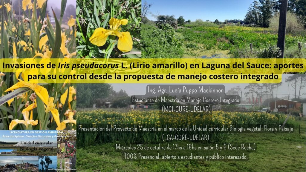 Actividad para el 25/10 en el marco de la Unidad Curricular Biología vegetal: flora y paisaje